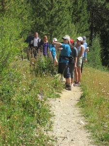 Hiking & Walking Tours in Crested Butte