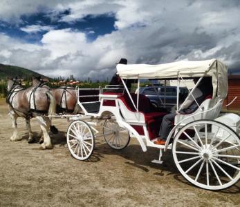 Hayrides & Carriage Rides in Copper Mountain